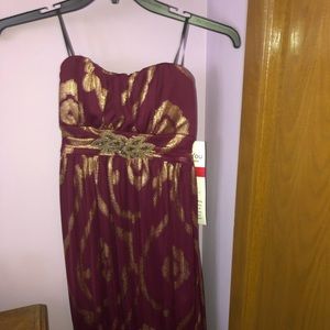 BRAND NEW: Violet High-Low Dress